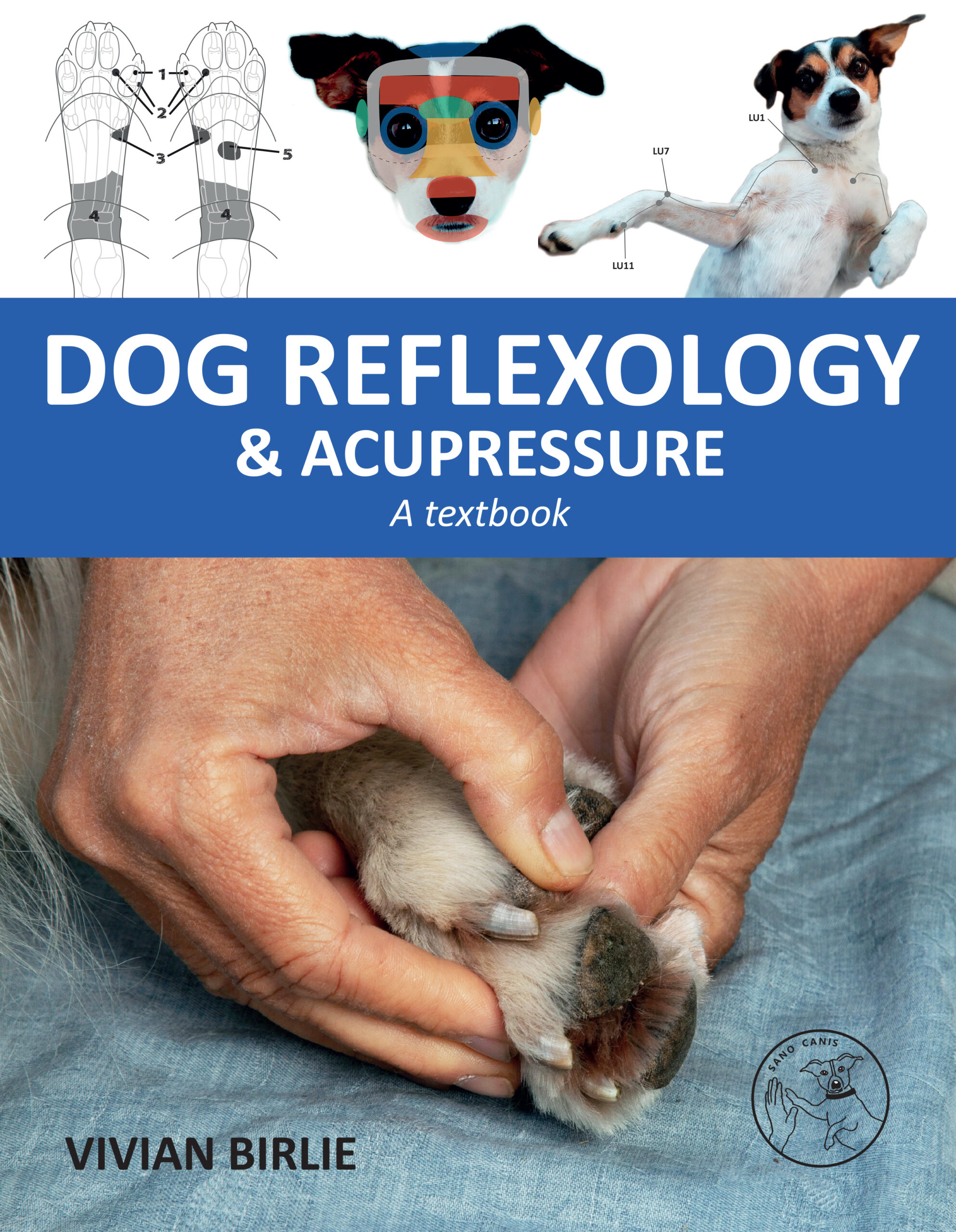 Dog reflexology and acupressure